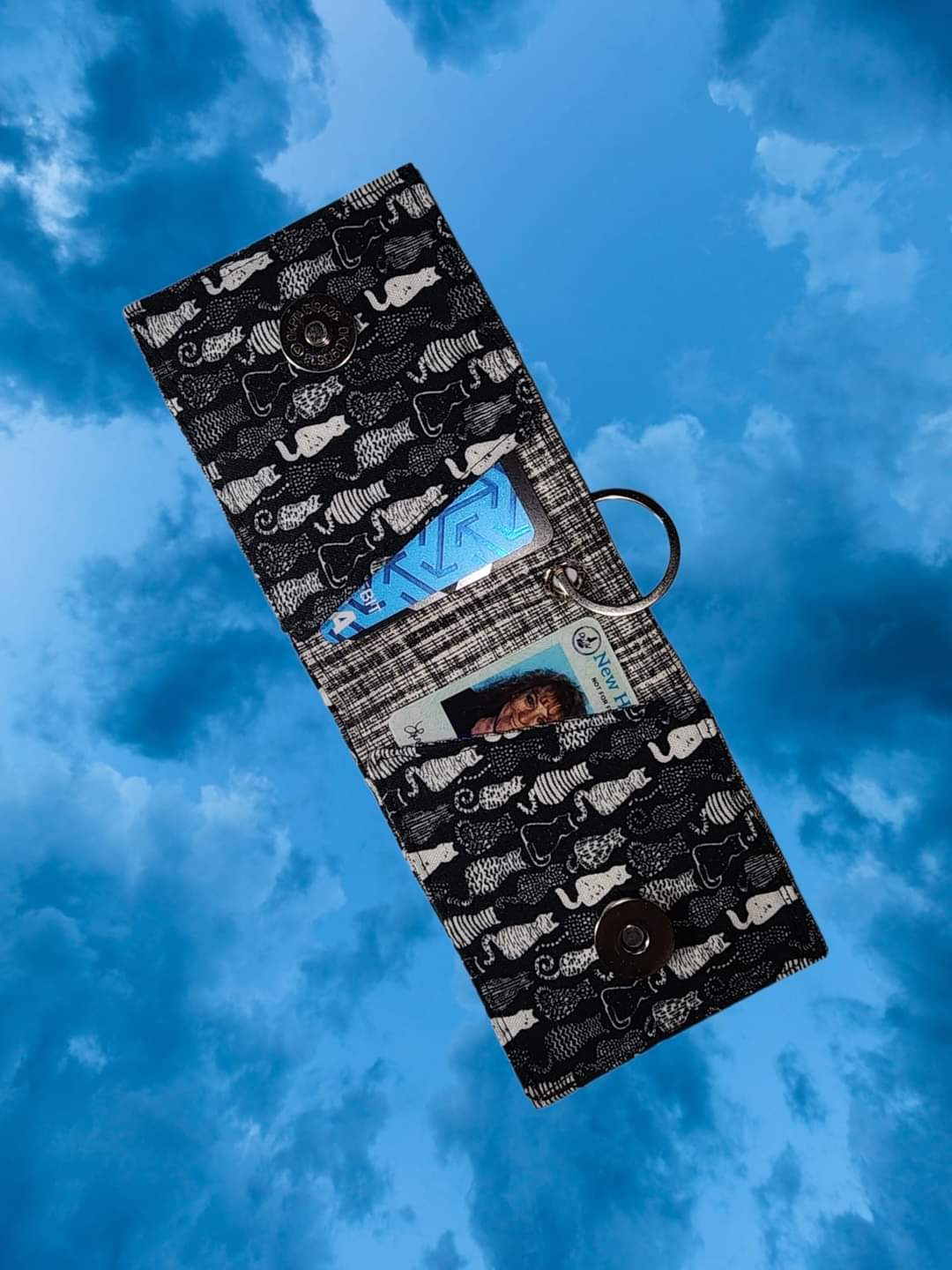 Key Chain Wallet - Kitties